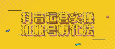 抖音运营实操班账号孵化法本课程专注于抖音运营实操，教授账号孵化的有效方法