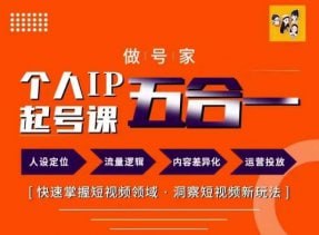 短视频个人IP起号方法68节从人设定位，网感培养，落地实操三个纬度手把手教你如何从零到一打造个人IP下载链接