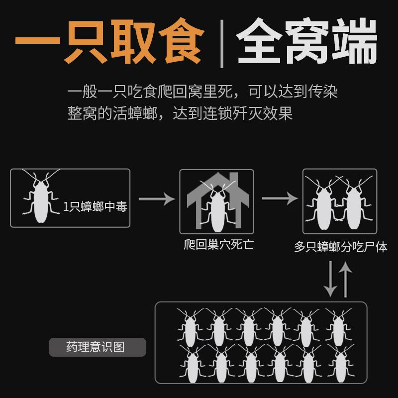 杀蟑螂药家用一窝端屋神器 5.8💰蟑螂是一种很顽强的害虫，在夏天更容易在室内繁殖