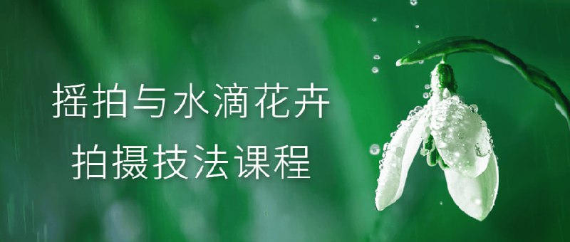 摇拍与水滴花卉拍摄技法课程本课程将教授和水滴花卉拍摄技法，帮助学员学习如何使用高速摄影技术捕捉细节和动态效果，创造出独特的艺术作品