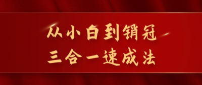 从小白到销冠三合一速成法从小白到销冠三合一速成法是一门专注于销售技巧的课程